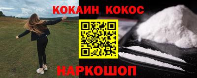 стафф Кингисепп