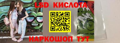 стафф Кингисепп