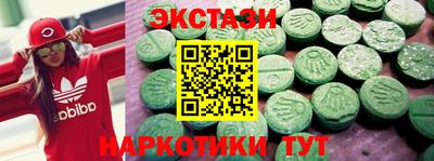 стафф Кингисепп