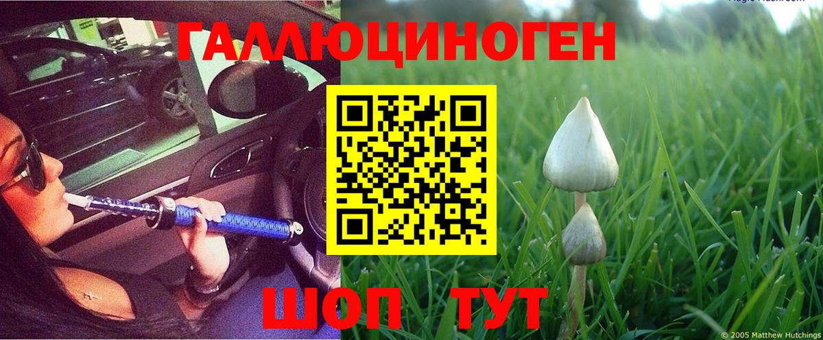 Галлюциногенные грибы Psilocybe  Вход с VPN  Канаш  Галлюциногенные грибы GOLDEN TEACHER 